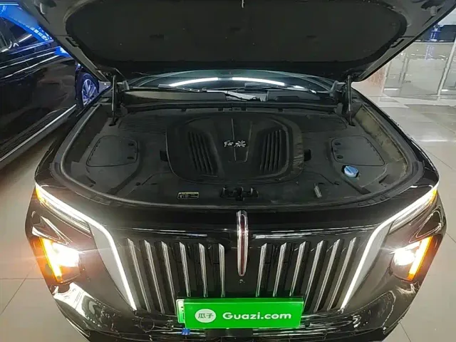 Hongqi E-HS9 — Фото автомобиля 19