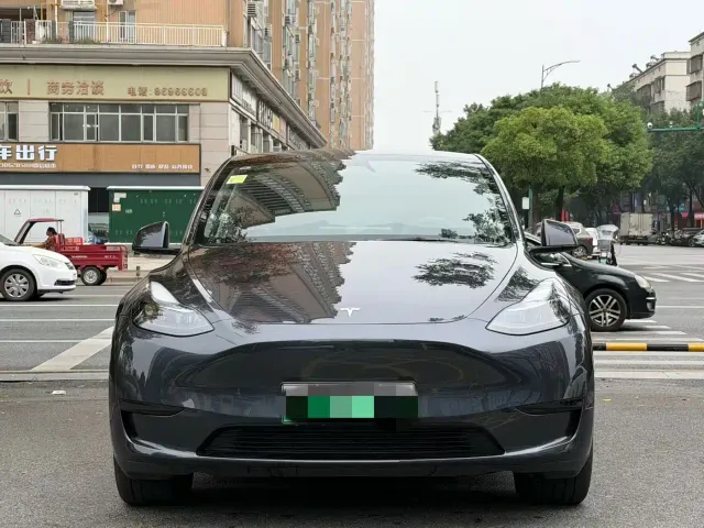 Tesla Model Y — Фото автомобиля 3