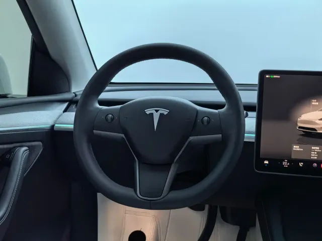 Tesla Model Y — Фото автомобиля 24