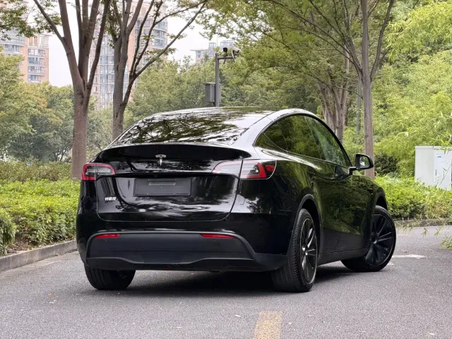 Tesla Model Y — Фото автомобиля 6