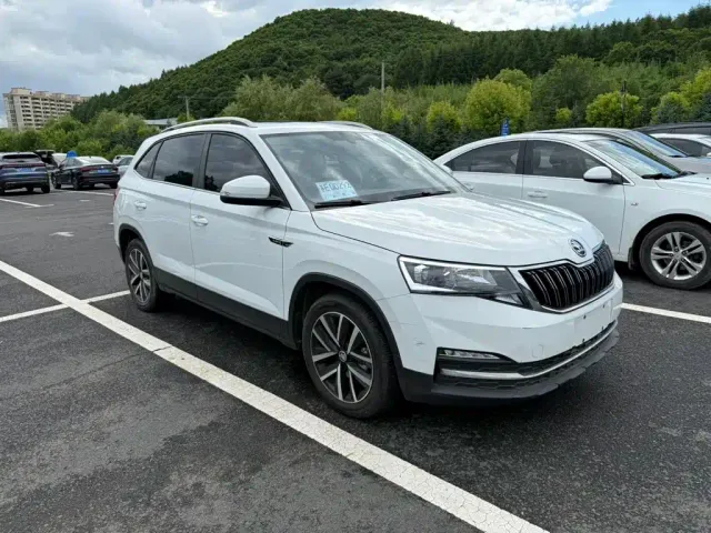 Skoda Kamiq — Фото автомобиля 3
