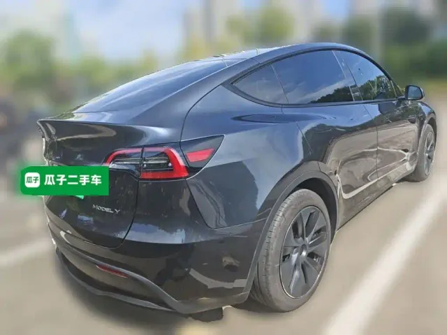 Tesla Model Y — Фото автомобиля 4