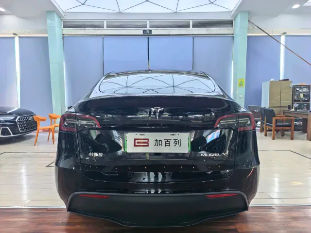 Tesla Model Y — Фото автомобиля 15