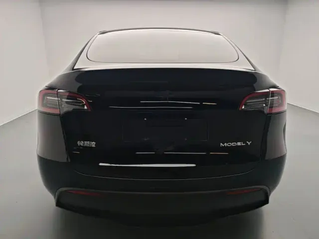 Tesla Model Y — Фото автомобиля 5
