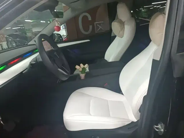 Tesla Model Y — Фото автомобиля 14