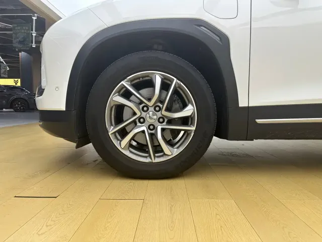 NIO NIO ES6 2020 465KM Performance Edition — Фото автомобиля 4