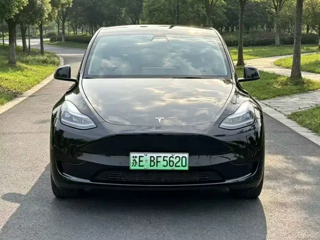Tesla Model Y — Фото автомобиля 2