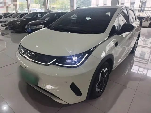 Фотография автомобиля — BYD Dolphin