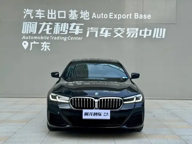 BMW 5 Series — Фото автомобиля 2