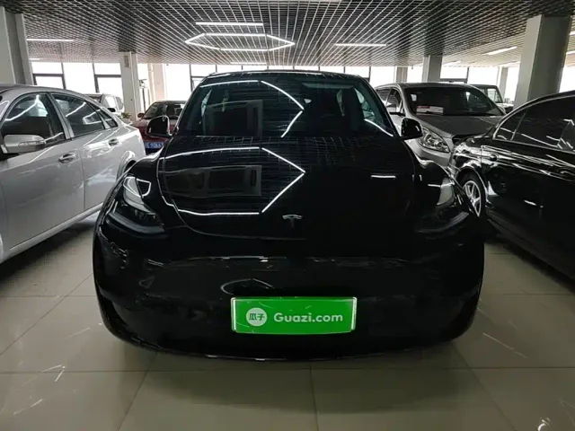 Tesla Model Y — Фото автомобиля 2