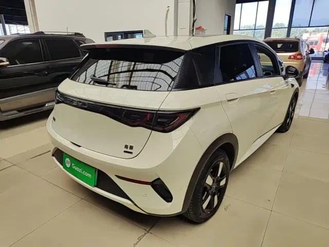 BYD Dolphin — Фото автомобиля 6