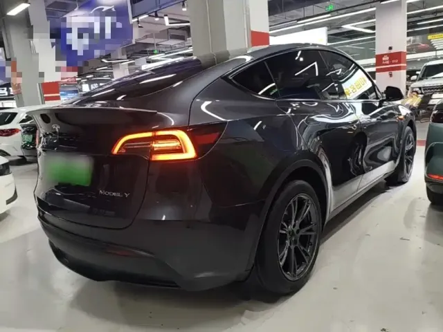 Tesla Model Y — Фото автомобиля 6