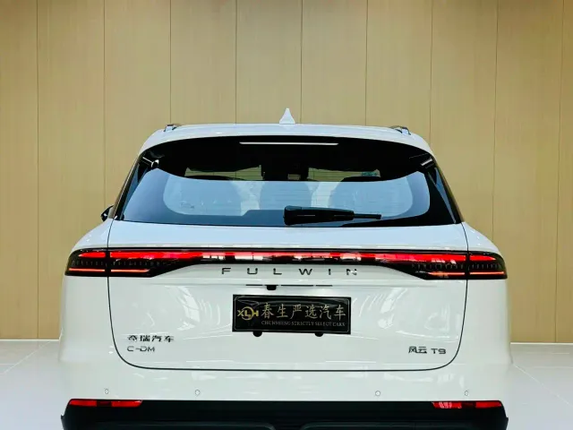 Chery Fulwin T9 — Фото автомобиля 12