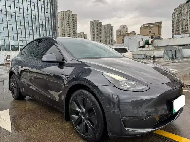 Tesla Model Y — Фото автомобиля 2