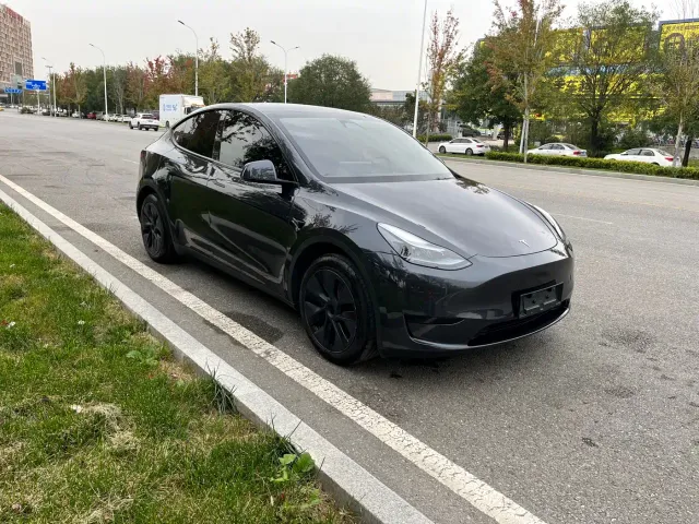 Tesla Model Y — Фото автомобиля 3