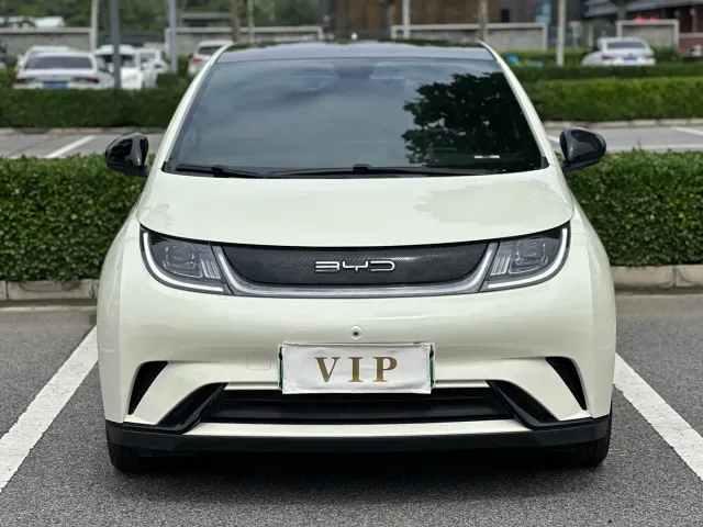 BYD Dolphin — Фото автомобиля 2