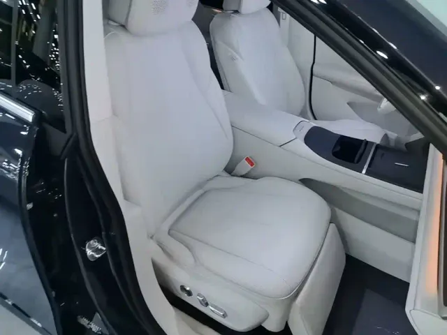 Buick Electra L7 — Фото автомобиля 24