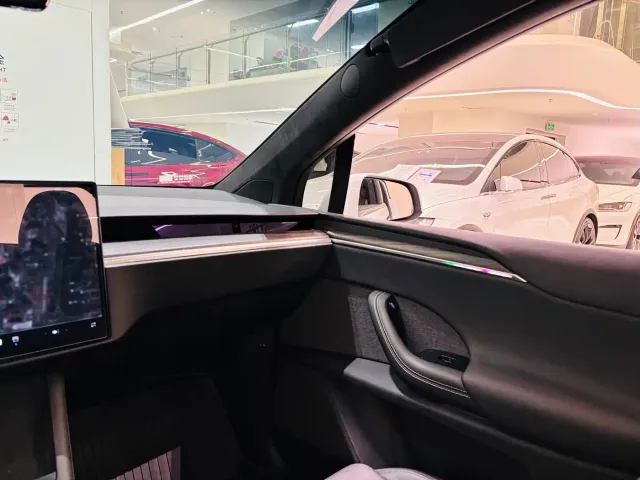 Tesla Model X — Фото автомобиля 15