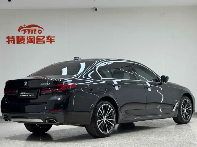 BMW 5 Series — Фото автомобиля 6