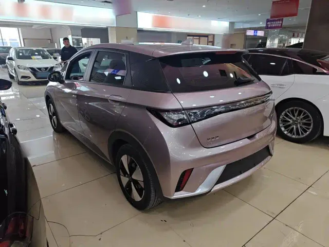 BYD Dolphin — Фото автомобиля 10
