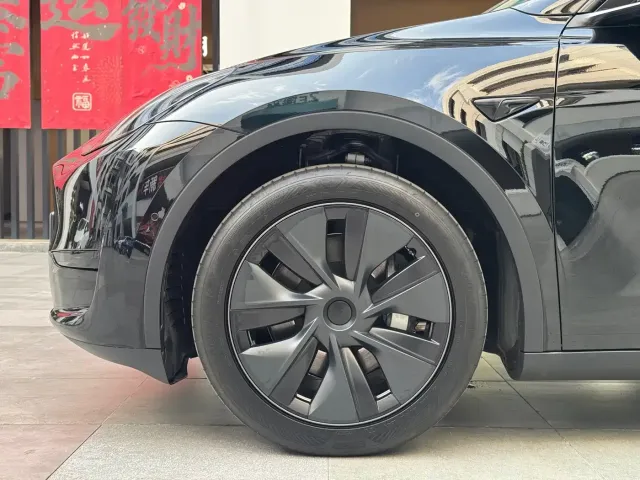 Tesla Model Y — Фото автомобиля 5