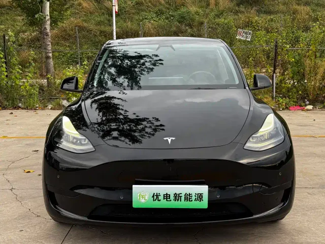 Tesla Model Y — Фото автомобиля 3