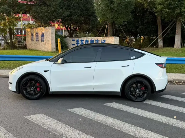 Tesla Model Y — Фото автомобиля 3