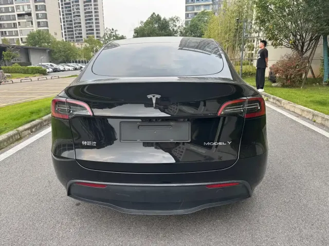 Tesla Model Y — Фото автомобиля 5