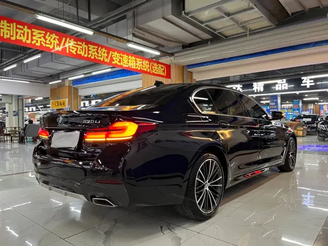 BMW 5 Series — Фото автомобиля 5