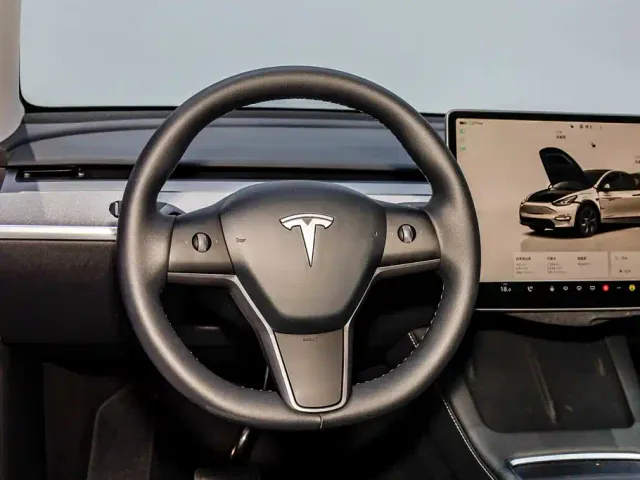 Tesla Model Y — Фото автомобиля 21