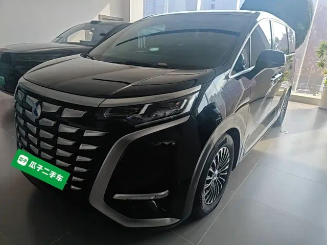 Фотография автомобиля — Denza D9