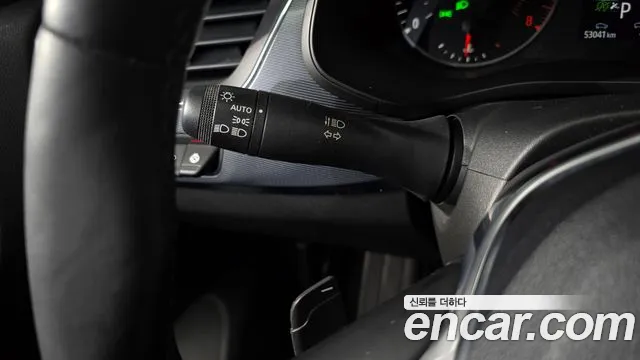Renault-KoreaSamsung XM3 — Фото автомобиля 20