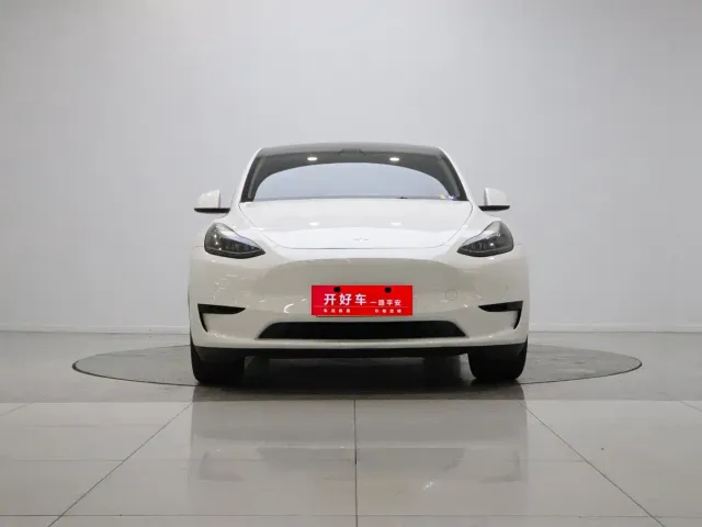 Tesla Model Y — Фото автомобиля 2