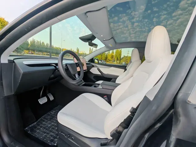 Tesla Model Y 2025 Model Long Range All-Wheel Drive Launch Edition — Фото автомобиля 8