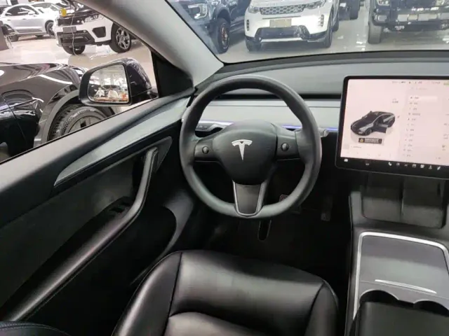 Tesla Model Y — Фото автомобиля 10