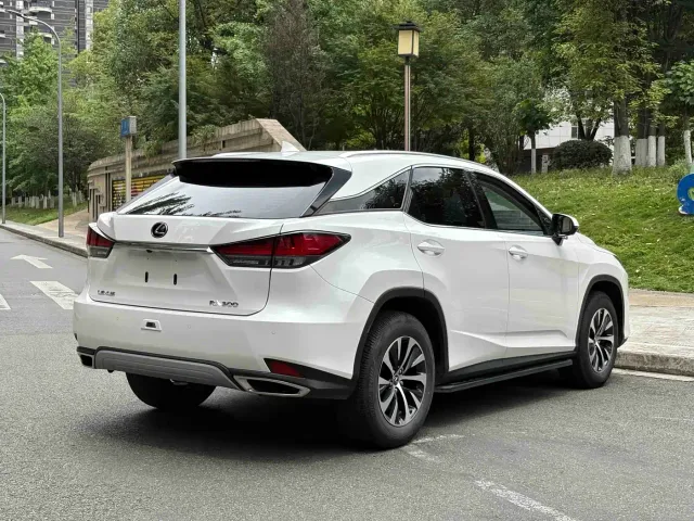 Lexus RX — Фото автомобиля 14