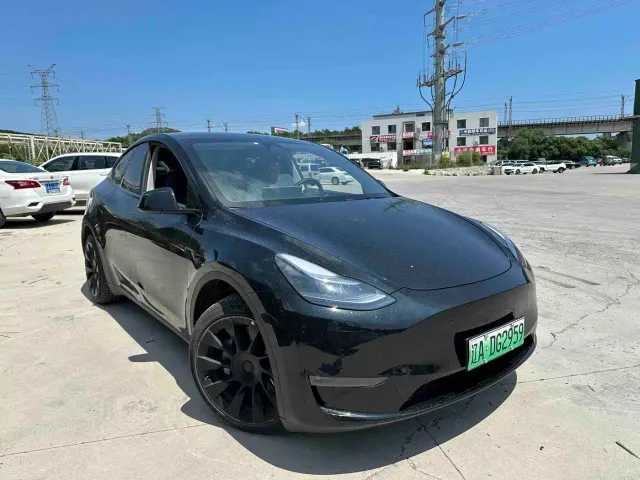 Tesla Model Y — Фото автомобиля 2