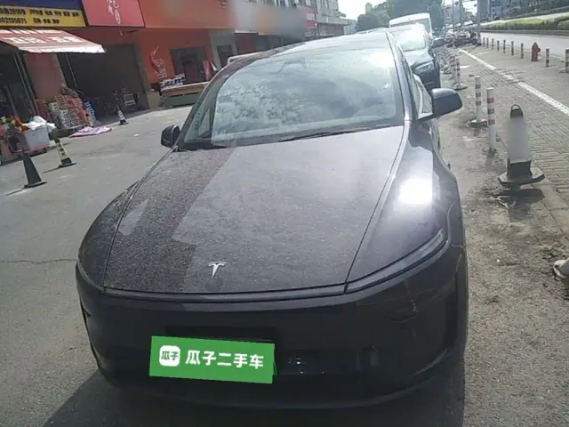 Tesla Model Y — Фото автомобиля 2