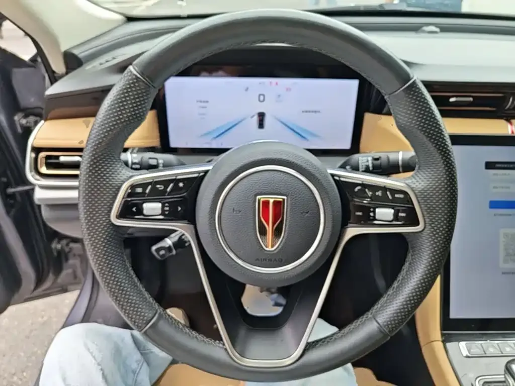 Hongqi Hongqi H5 2023 2.0T Auto Smart Connect Flagship — Фото автомобиля 10