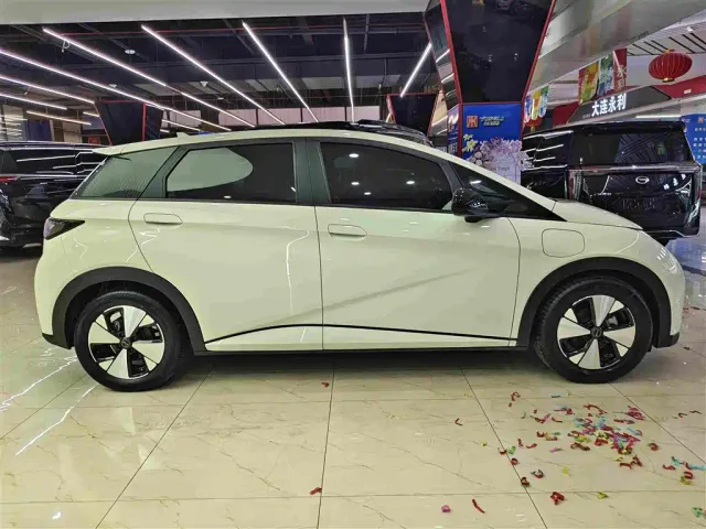 BYD Dolphin — Фото автомобиля 16