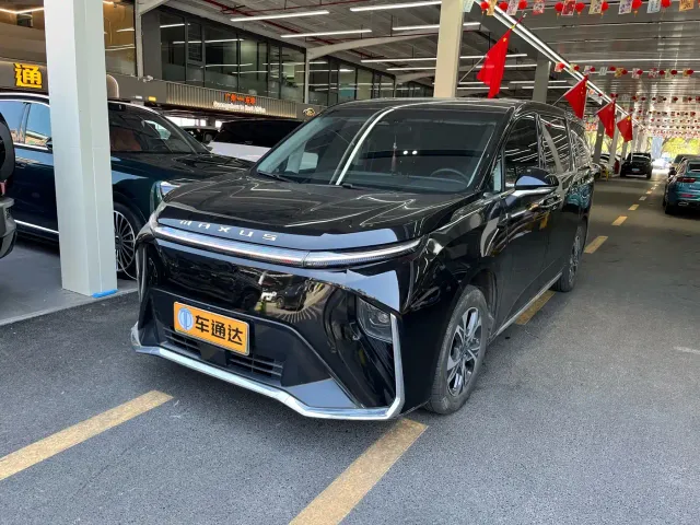 Maxus Dajia 9 — Фото автомобиля 2