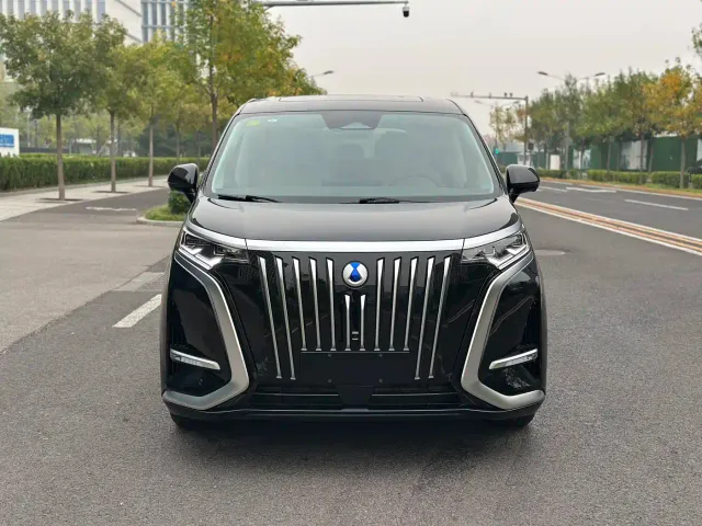 Denza D9 — Фото автомобиля 2