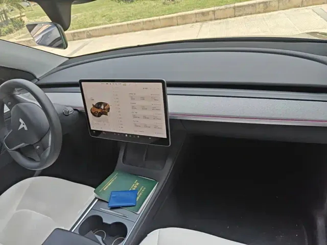 Tesla Model Y 2024 Rear-Wheel Drive Version — Фото автомобиля 9