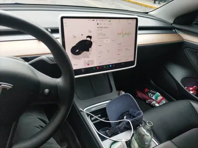 Tesla Model 3 — Фото автомобиля 14