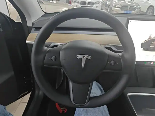 Tesla Model Y — Фото автомобиля 10