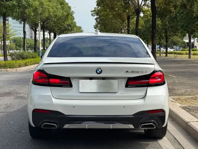 BMW 5 Series — Фото автомобиля 17
