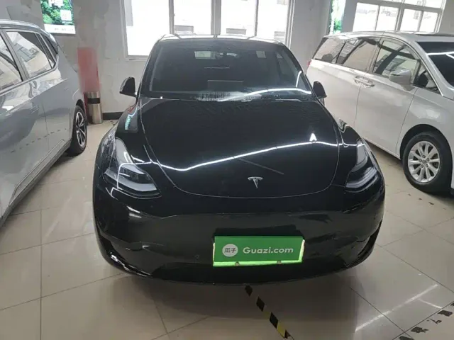 Tesla Model Y — Фото автомобиля 2