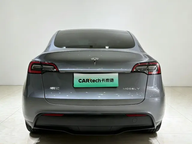 Tesla Model Y — Фото автомобиля 19