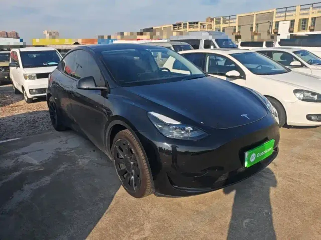 Tesla Model Y — Фото автомобиля 3