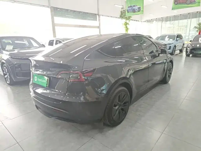 Tesla Model Y — Фото автомобиля 6
